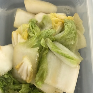 白菜の中華ナムル